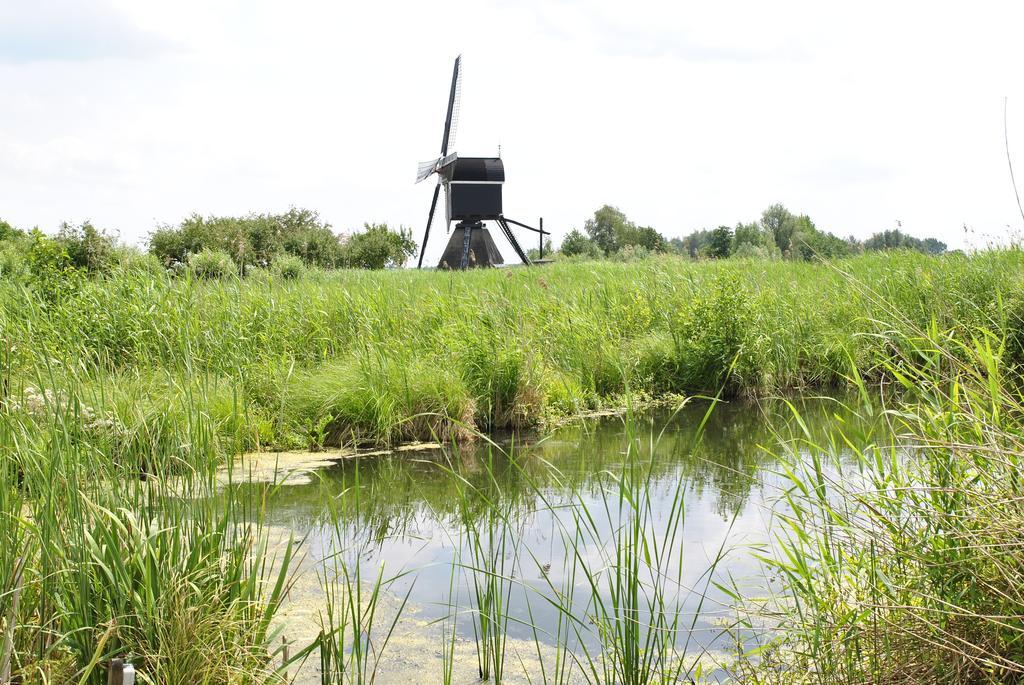 Camping De Grienduil Nieuwland  Exterior photo