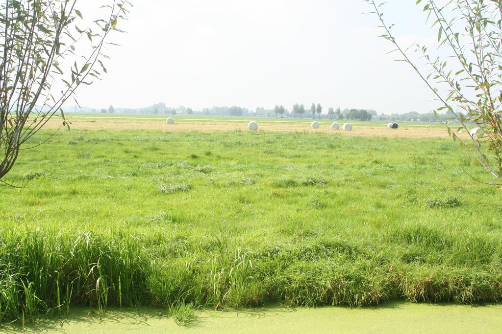 Camping De Grienduil Nieuwland  Exterior photo
